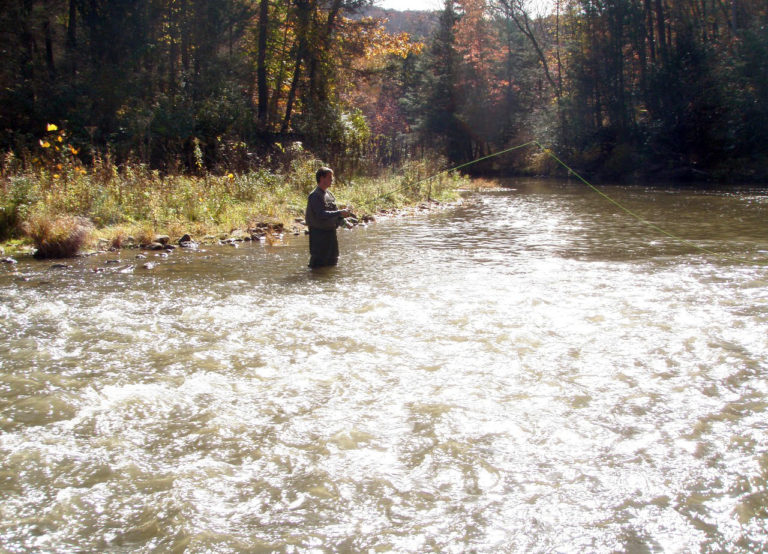 Jackson River - Shenandoah Valley Trout Unlimited