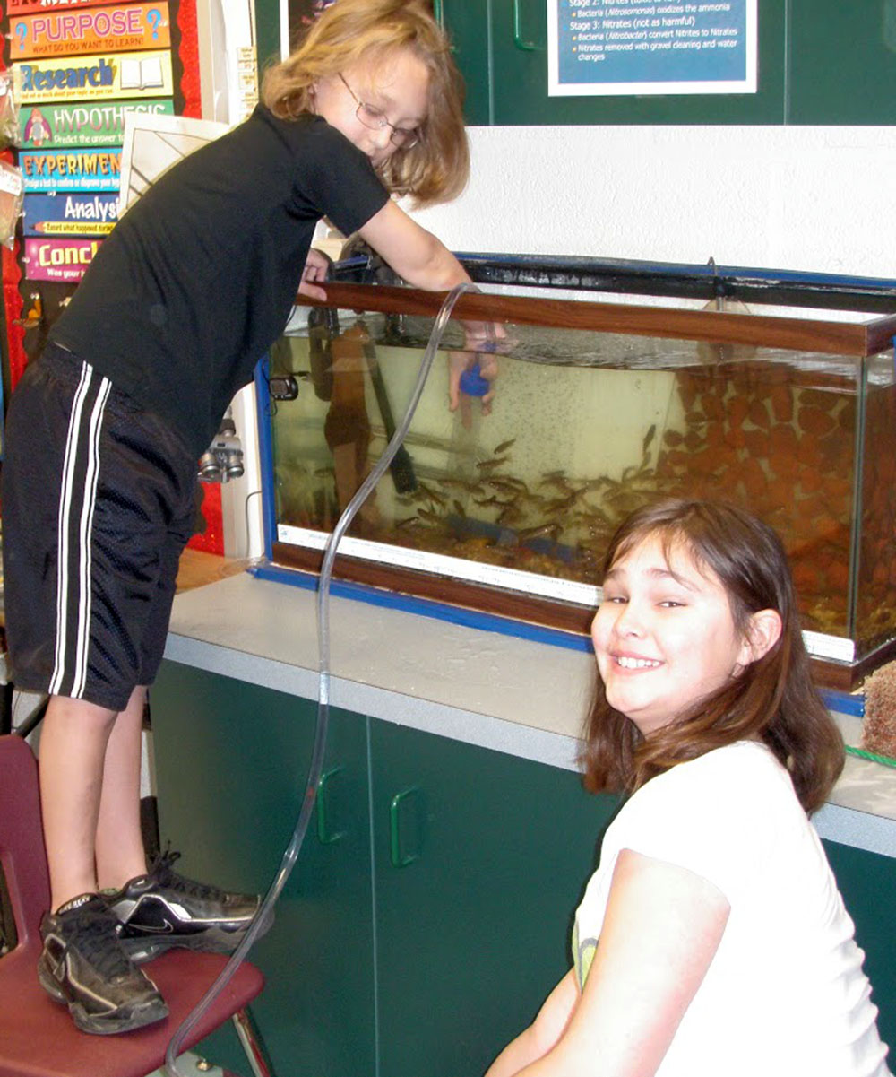 Trout in the Classroom Photo