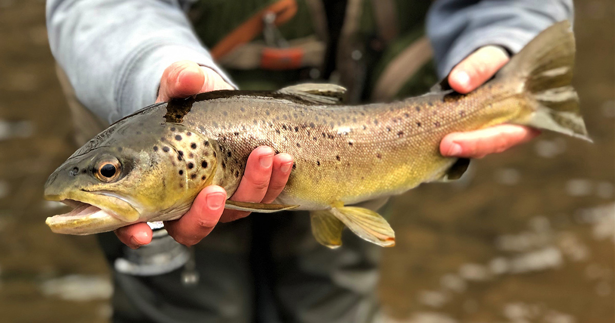 The Home Float - Trout Unlimited
